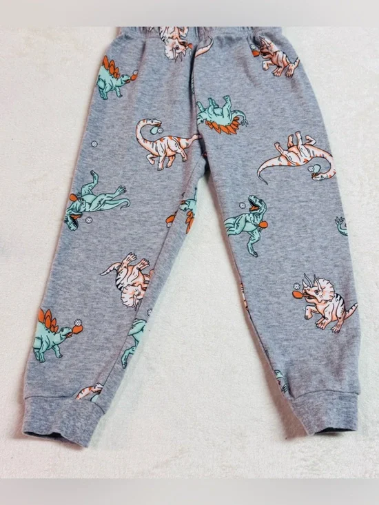 Toddler Pajama Set Organic Cotton Size 2/3 - Picture 4 of 5